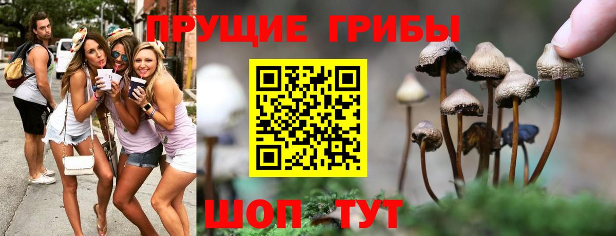 цены   Галлюциногенные грибы ЛСД  Тара  Вход с VPN  Галлюциногенные грибы Psilocybe 