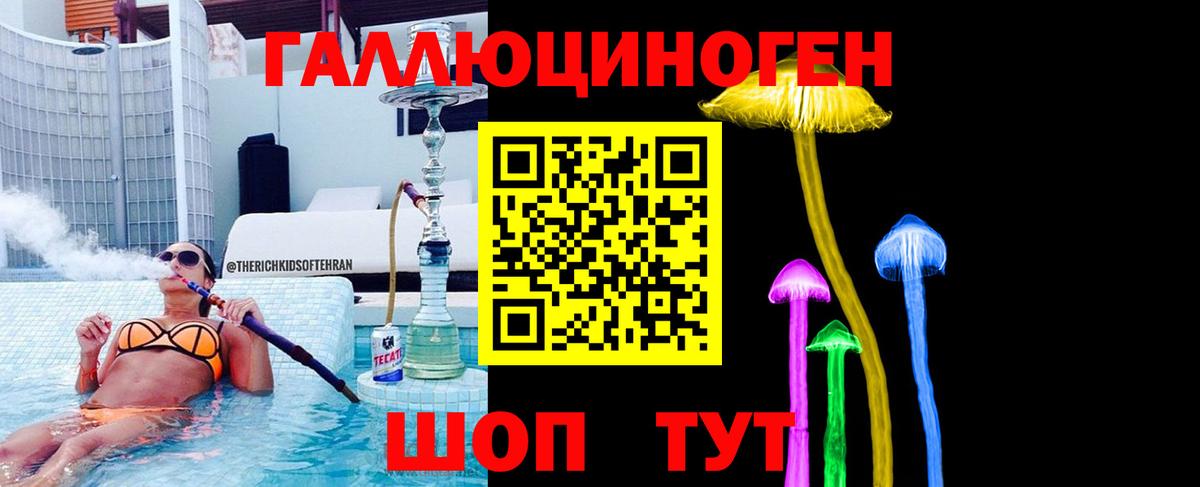 Псилоцибиновые грибы GOLDEN TEACHER Тара